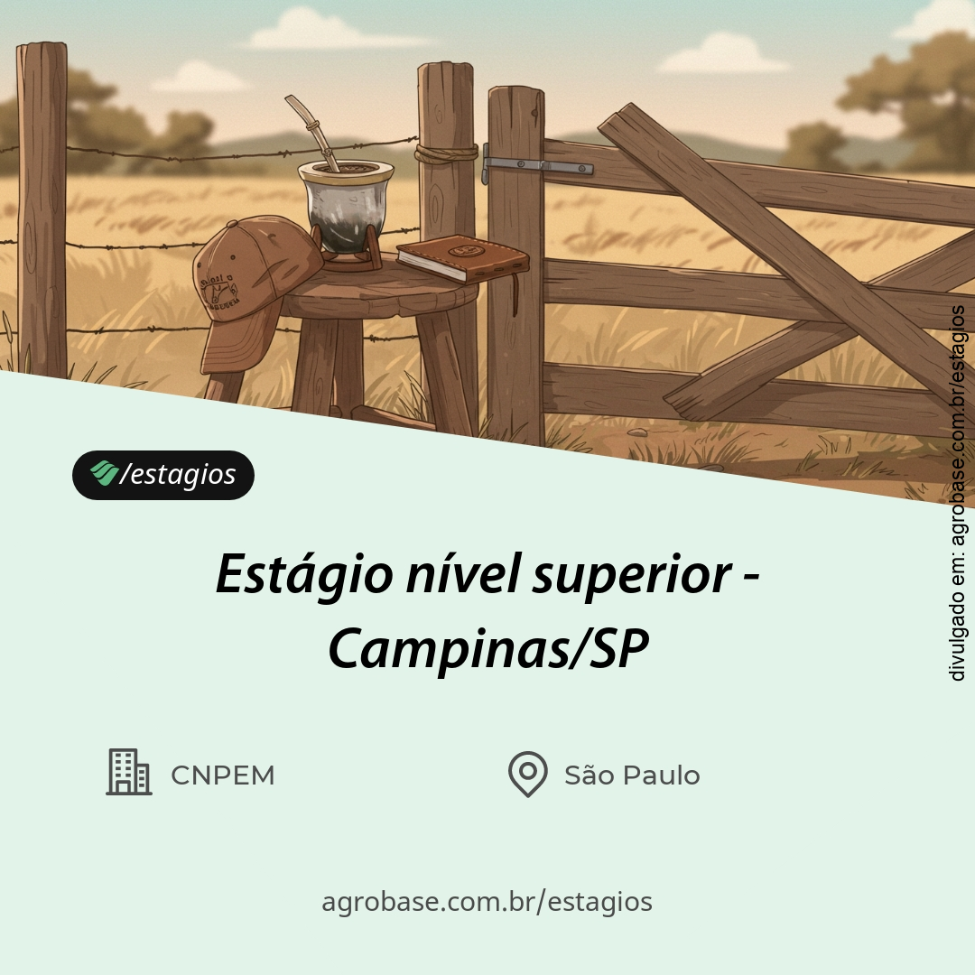 Estágio nível superior – Campinas/SP