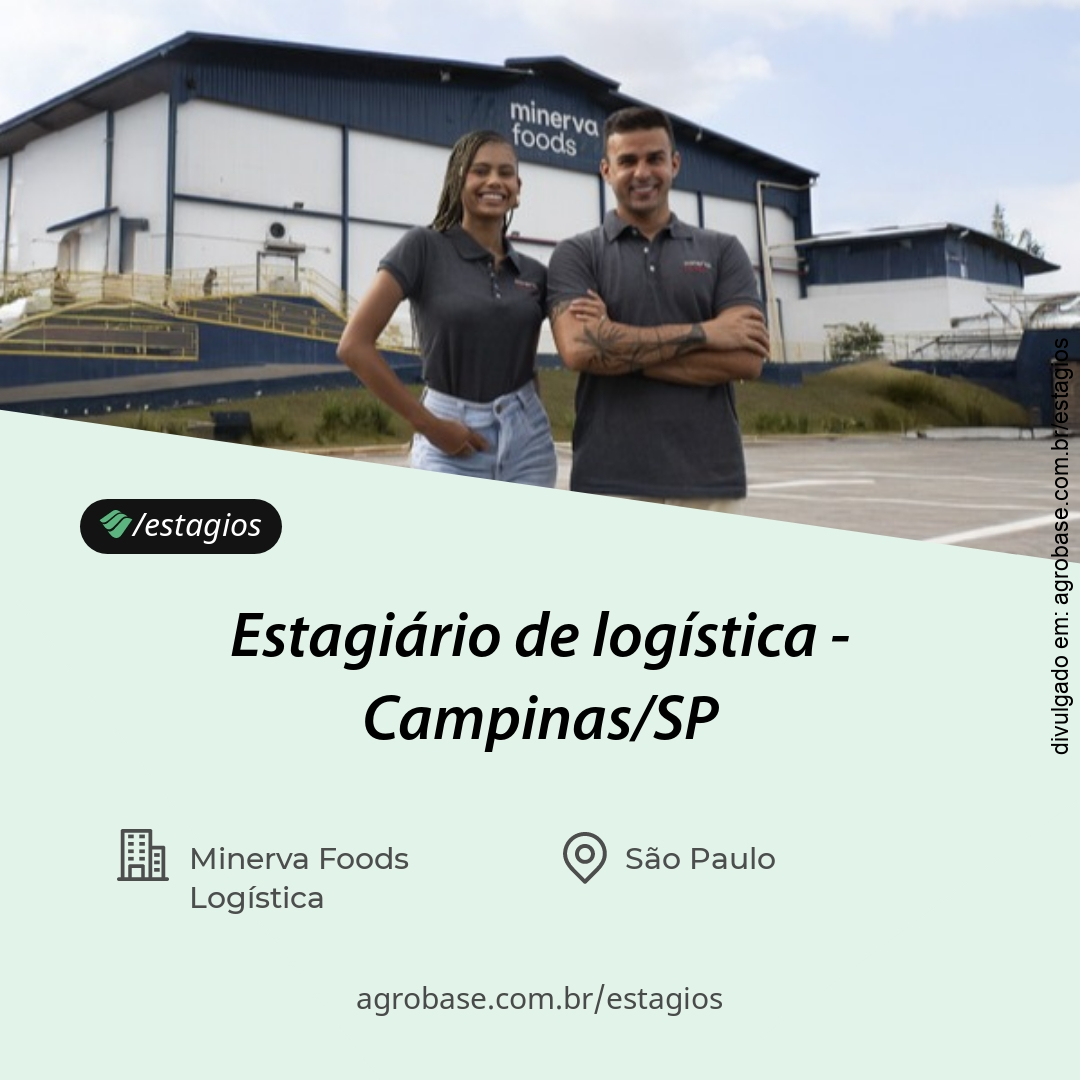 Estagiário de logística – Campinas/SP