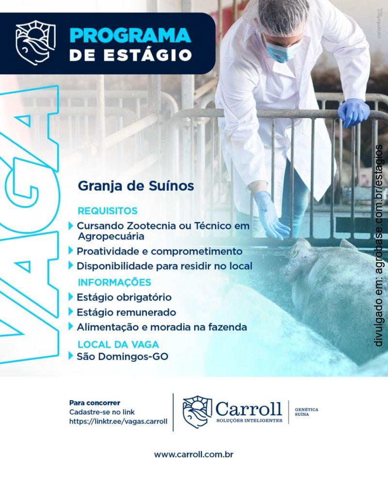 Programa de estágio em granja de suínos – São Domingos/GO