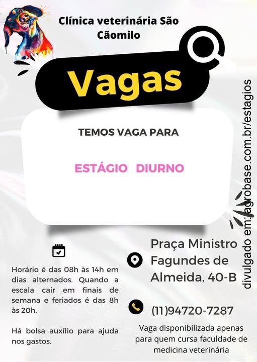 Estágio diurno – São Paulo/SP