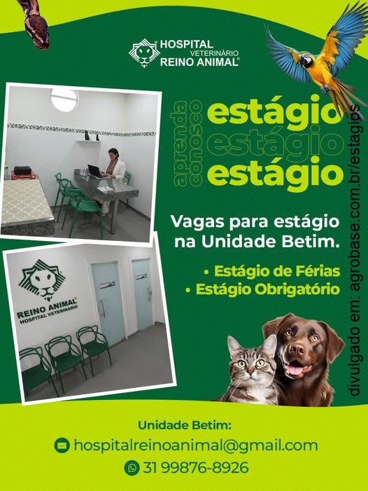 Estágio veterinária – Betim/MG