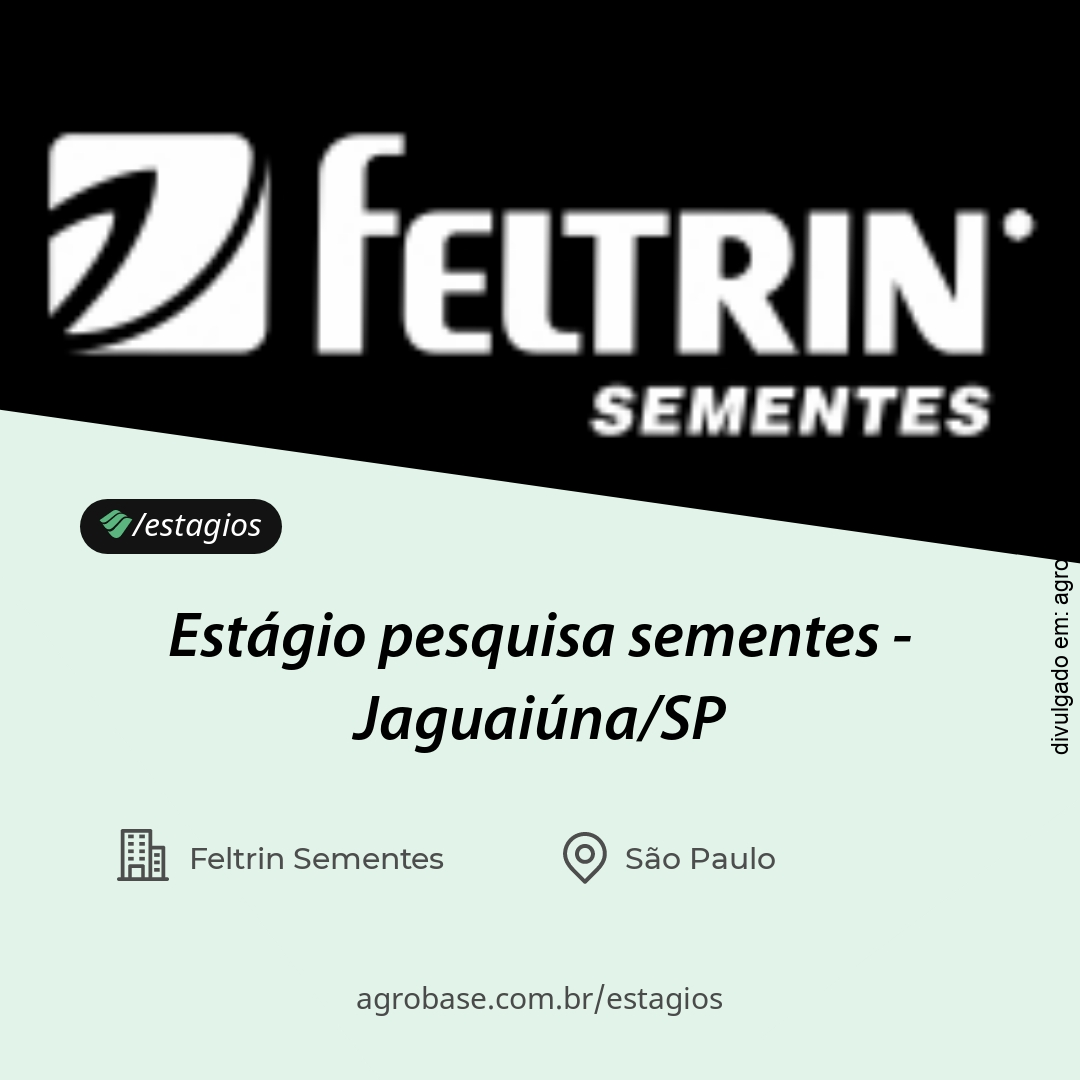 Estágio de pesquisa sementes – Jaguaiúna/SP