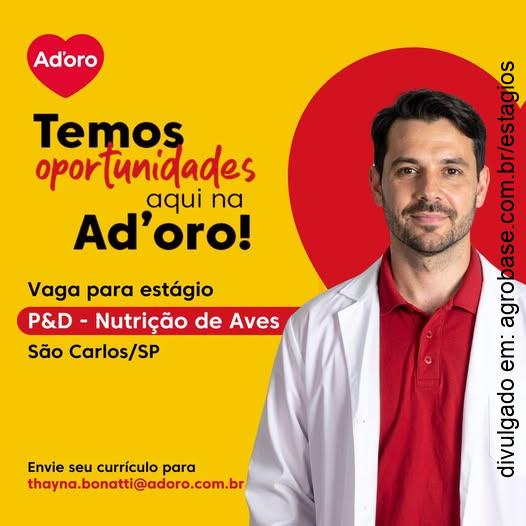 Estágio pesquisa, desenvolvimento e nutrição de aves – São Carlos/SP