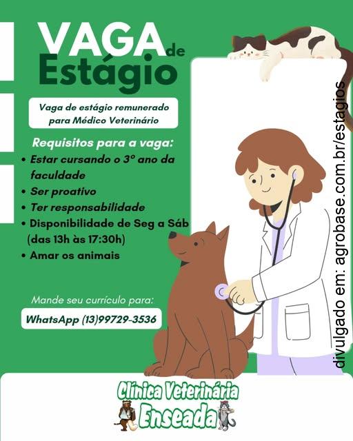 Estágio em clínica veterinária – Guarujá/SP