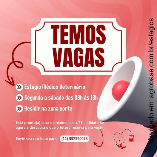 Estágio médico veterinário – São Paulo/SP (zona norte)