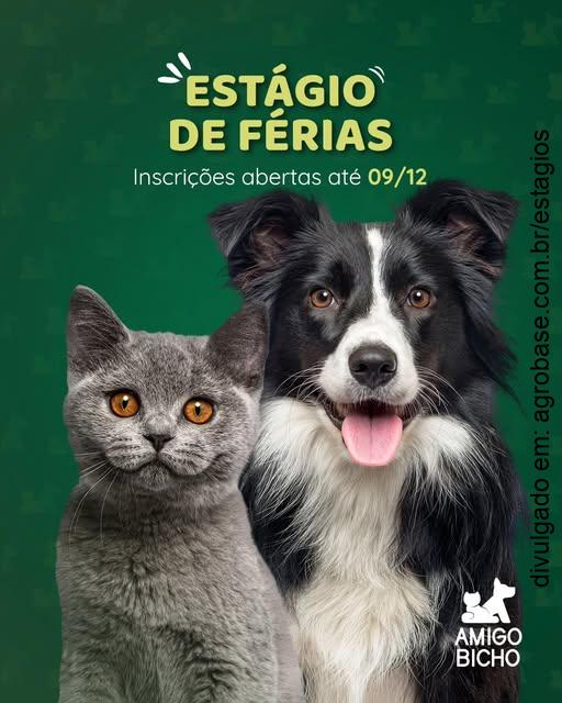 Estágio de férias clínica médica de pequenos animais – Natal/RN