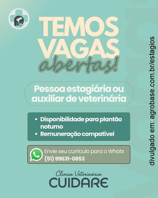 Estágio ou auxiliar de veterinária – Porto Alegre/RS