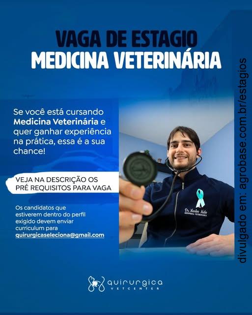 Estágio em medicina veterinária – Teresina/PI