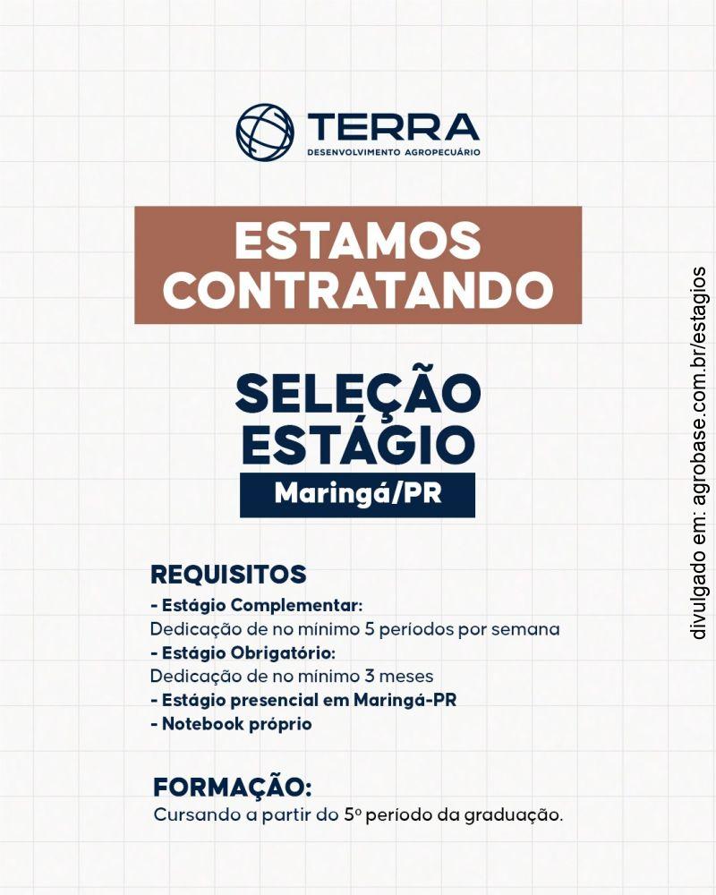 Estágio Terra Desenvolvimento – Maringá/PR