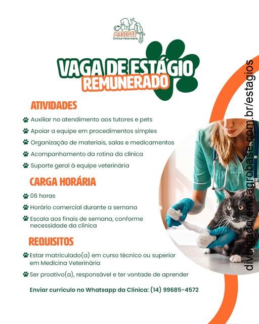 Estágio em clínica veterinária – Piraju/SP