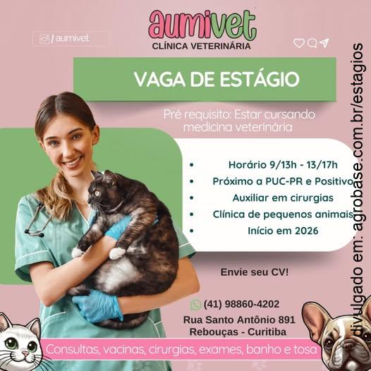 Estágio medicina veterinária – Curitiba/PR
