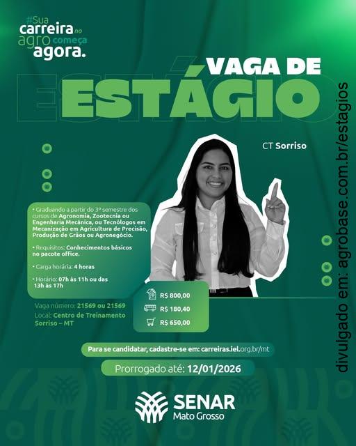 Estágio agro – Sorriso/MT