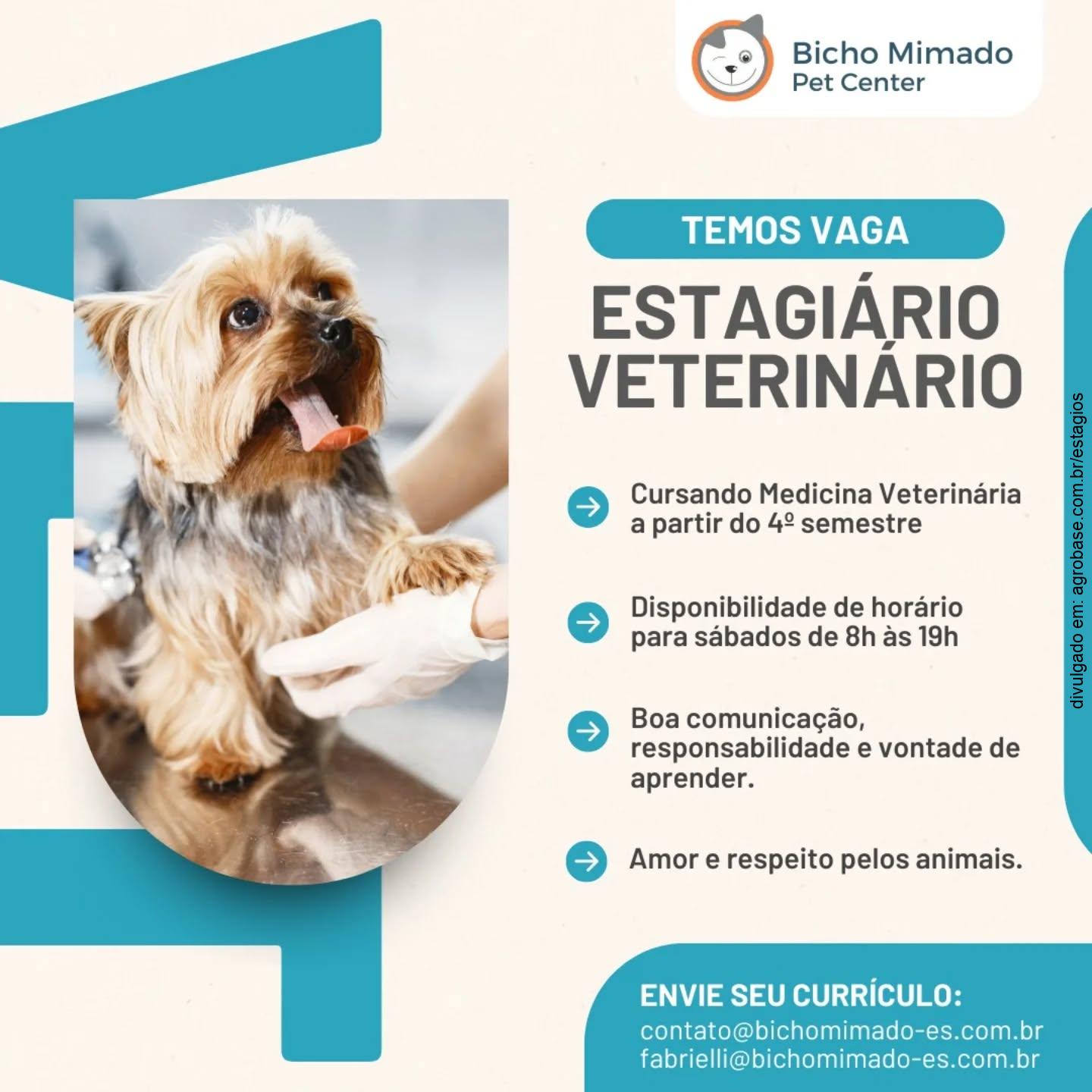 Estágio de medicina veterinária – Serra/ES