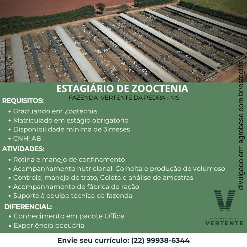 Estágio obrigatório zootecnia – MS