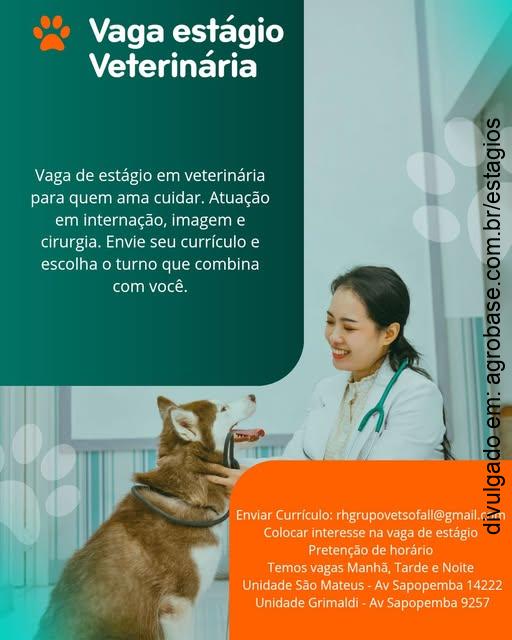 Estágio de veterinária – São Paulo/SP