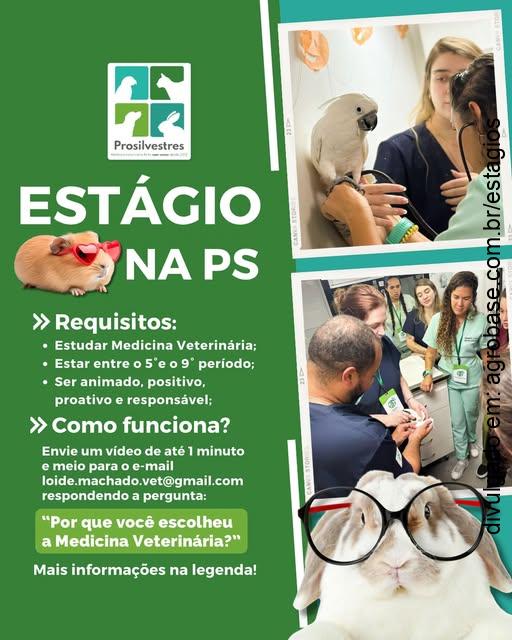 3 vagas de estágio medicina veterinária – Rio de Janeiro/RJ