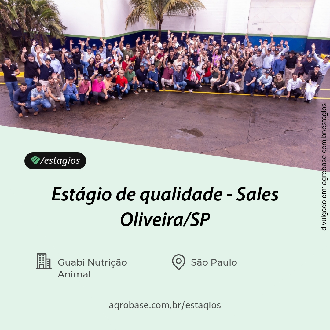 Estágio de qualidade – Sales Oliveira/SP