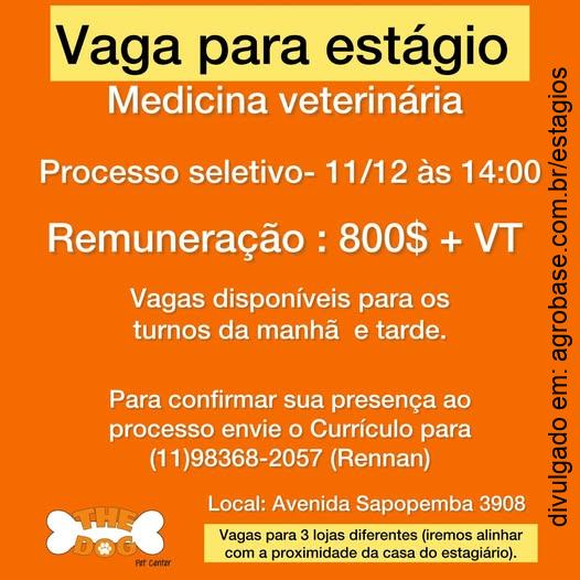 Estágio em medicina veterinária – São Paulo/SP