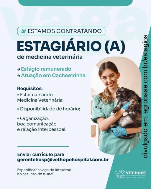 Estágio de medicina veterinária – Cachoeirinha/RS