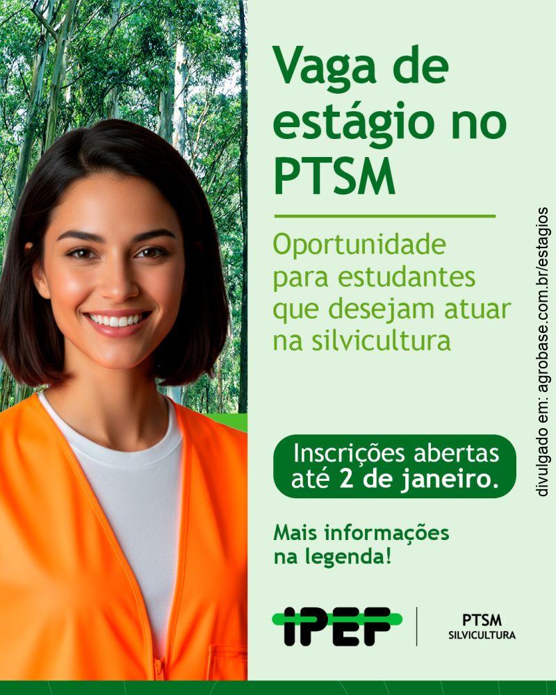 Estágio no programa cooperativo sobre silvicultura e manejo – Piracicaba/SP