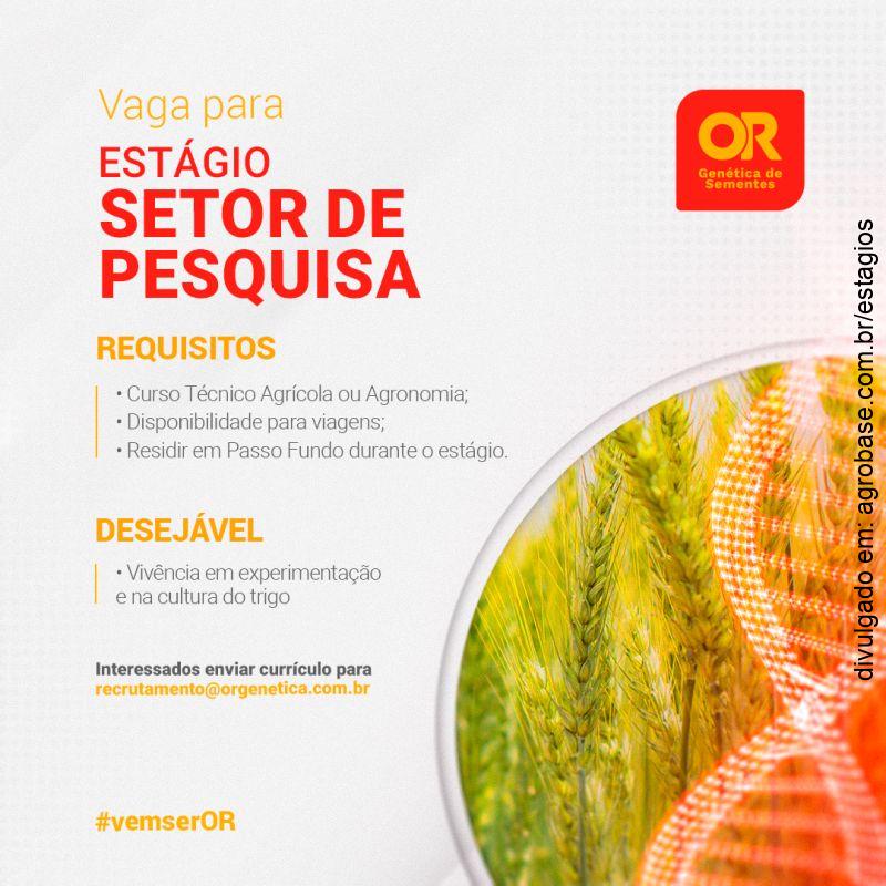 Estágio setor de pesquisa – Passo Fundo/RS