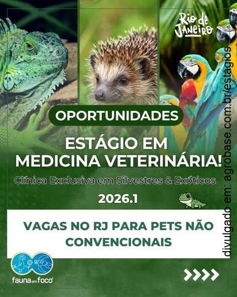 02 vagas de estágio em medicina veterinária – Rio de Janeiro/RJ
