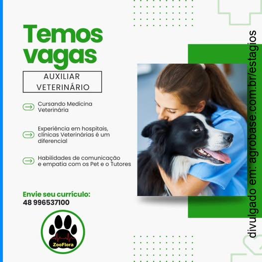 Estágio auxiliar veterinário – Florianópolis/SC