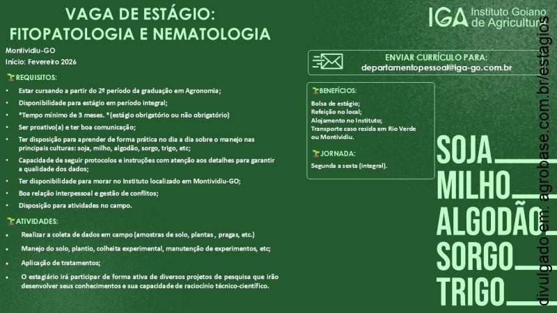 03 vagas de estágio fitopatologia e nematologia – Montividiu/GO