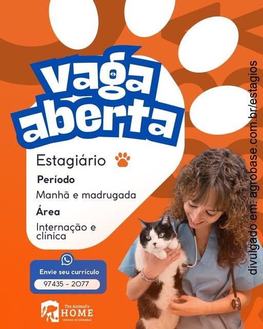 Estágio internação e clínica – Mauá/SP