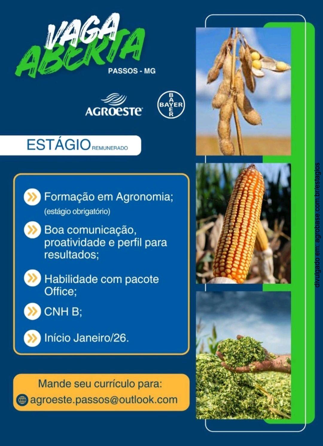 Estágio remunerado – Passos/MG