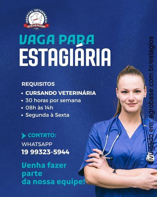 Estágio veterinária – Campinas/SP