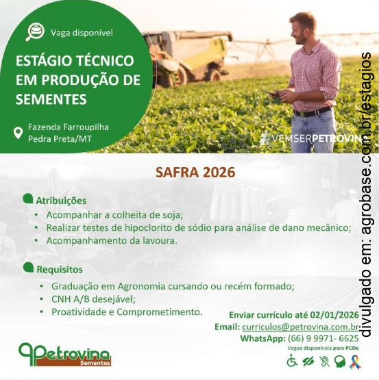 Estágio técnico em produção de sementes – Pedra Preta/MT