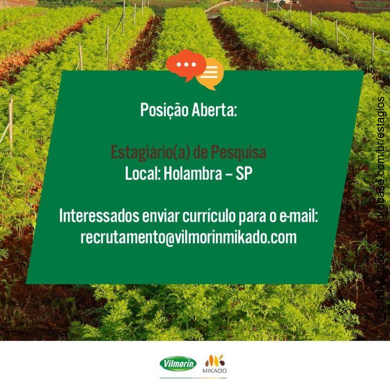 Estágio de pesquisa – Holambra-SP