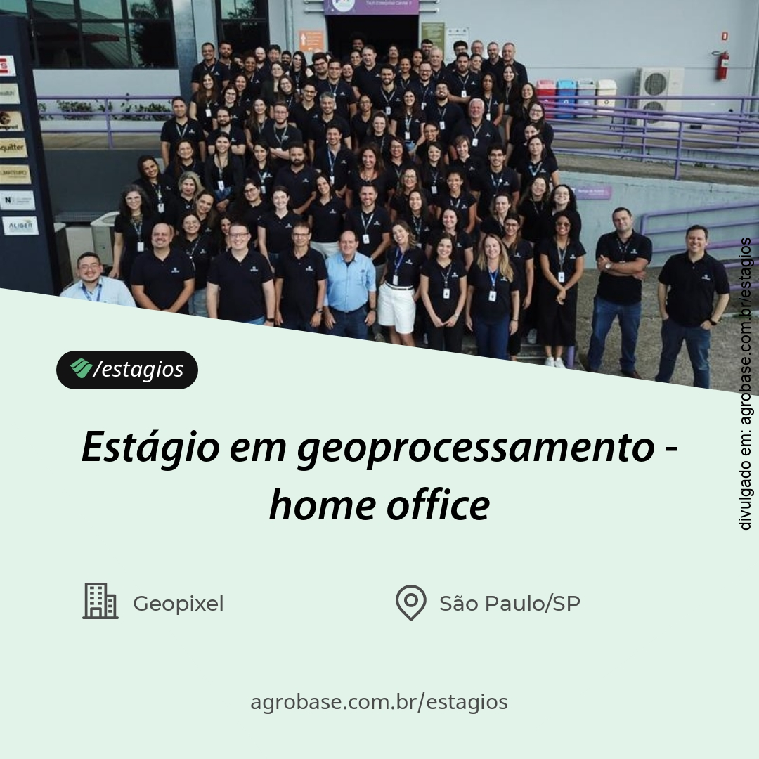 Estágio em geoprocessamento – home office