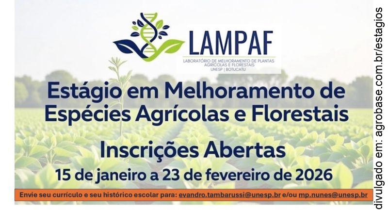 Estágio em melhoramento de espécies agrícolas e florestais – Botucatu/SP