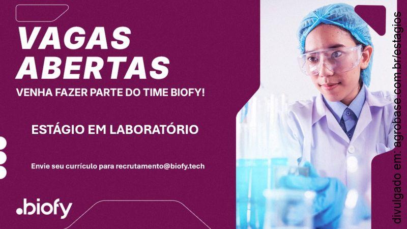 Estágio em laboratório – Uberlândia/MG