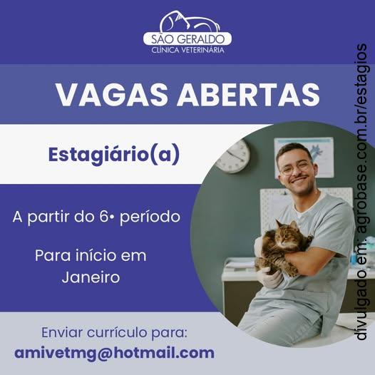 Estágio em medicina veterinária – Belo Horizonte/MG