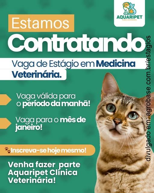 Estágio em medicina veterinária – Toledo/PR