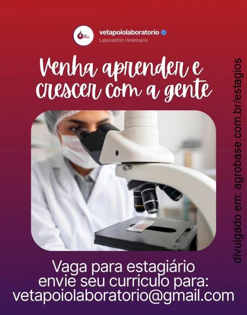 Estágio medicina veterinária – Campinas/SP