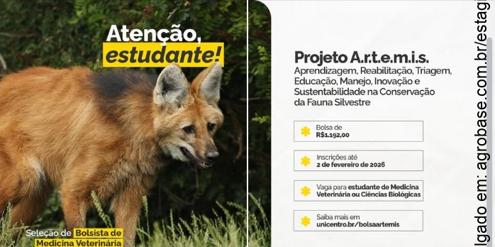 02 vagas de estágio para estudantes de medicina veterinária ou ciências biológicas – Guarapuava/PR