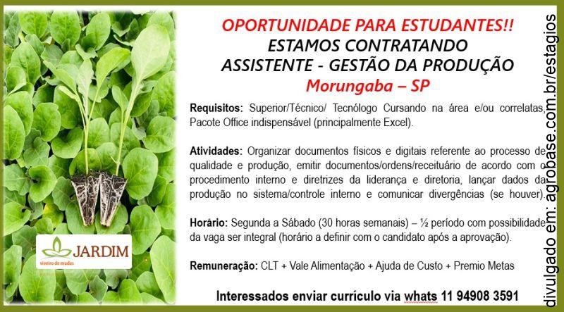 Estágio assistente de gestão da produção – Morungaba/SP