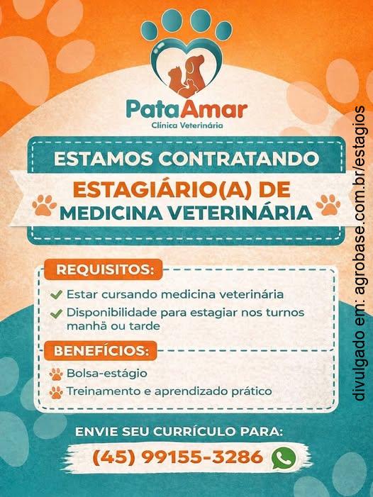 Estágio de medicina veterinária – Cascavel/PR