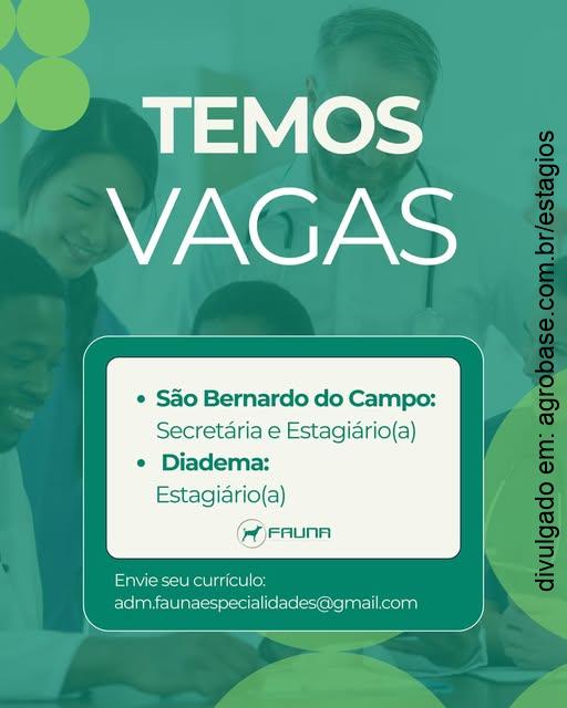 Estágio veterinária – São Bernardo do Campo e Diadema/SP