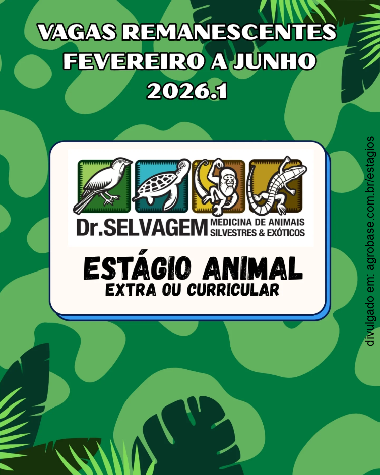 Estágio animal extra ou curricular – Joinville/SC