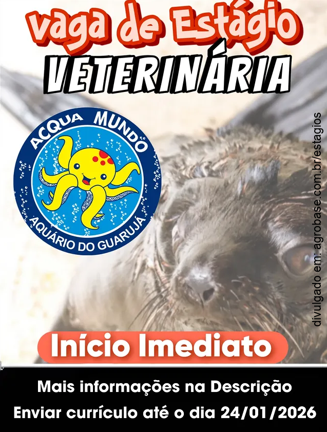 Estágio medicina veterinária – Baixada Santista SP