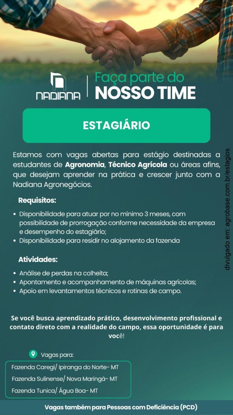 Estágio em fazendas – Mato Grosso