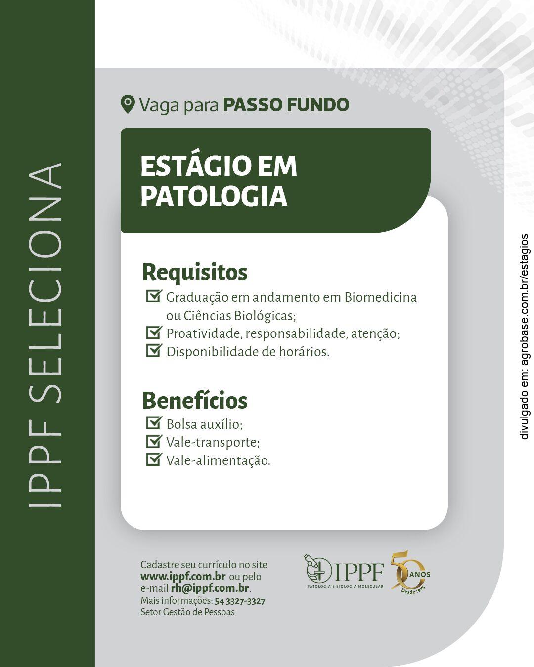 Estágio em patologia – Passo Fundo/RS