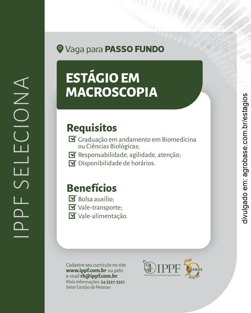 Estágio em macroscopia – Passo Fundo/RS