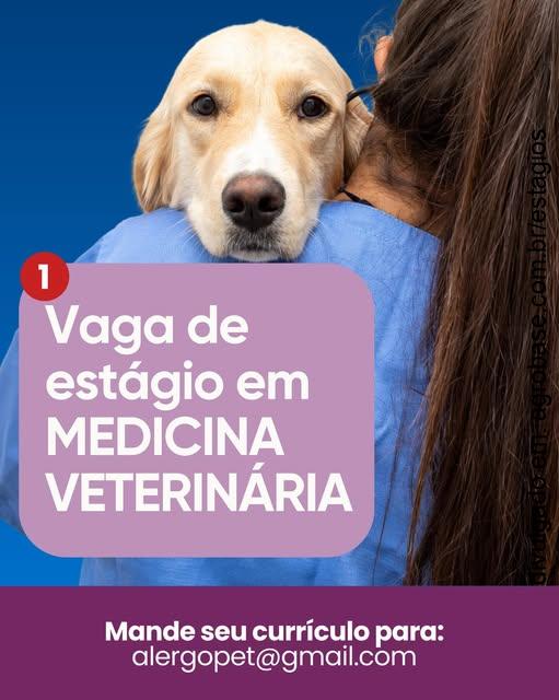 Estágio medicina veterinária – São Bernardo do Campo/SP