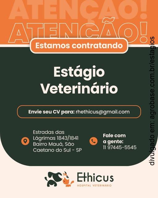 Estágio veterinária – São Caetano do Sul/SP